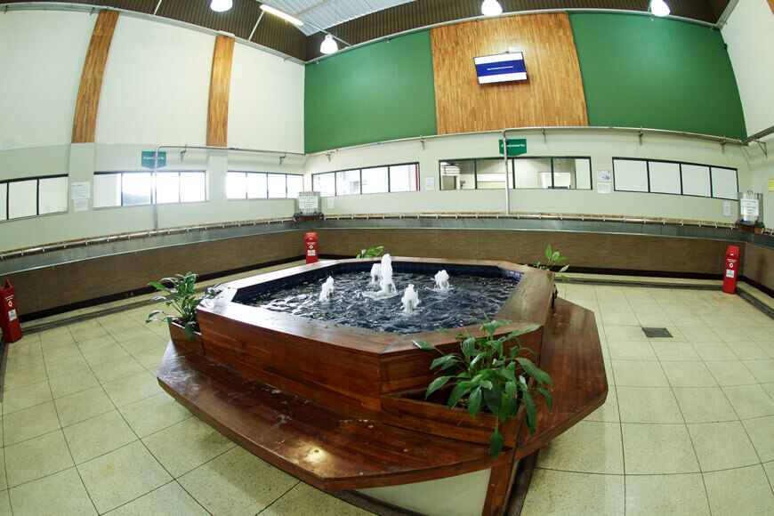 Fontanário Águas Petrópolis Paulista